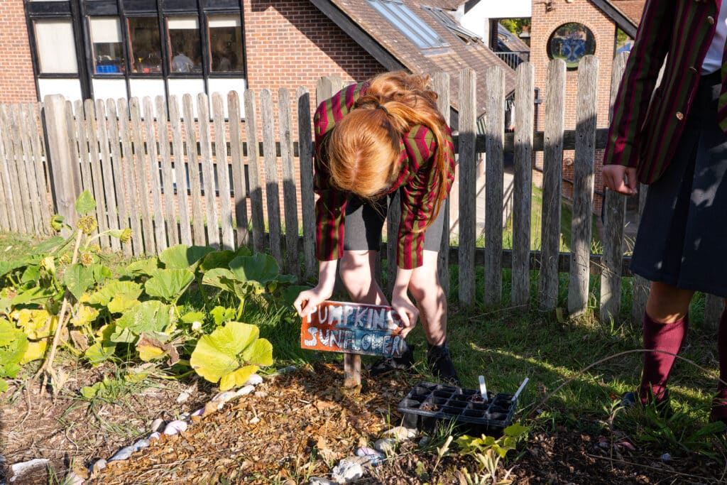 A student with red hair in a striped blazer, representing St Andrew’s Prep, bends down to adjust a colourful Pumpkins Sunflower sign in a garden beside a wooden fence, with another student—proud of their Education Innovation Awards—standing nearby.