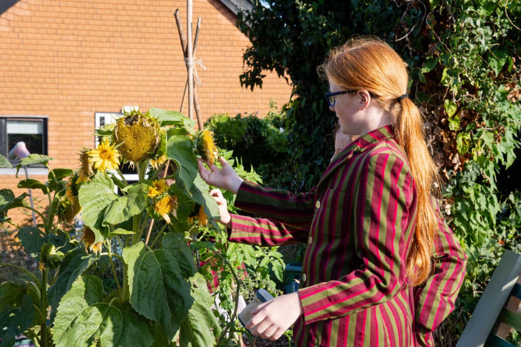 A person with long red hair and glasses, wearing a striped jacket, examines sunflowers in a garden on a sunny day. A brick house and greenery are visible in the background at St Andrew’s Prep, home to Education Innovation Awards.
