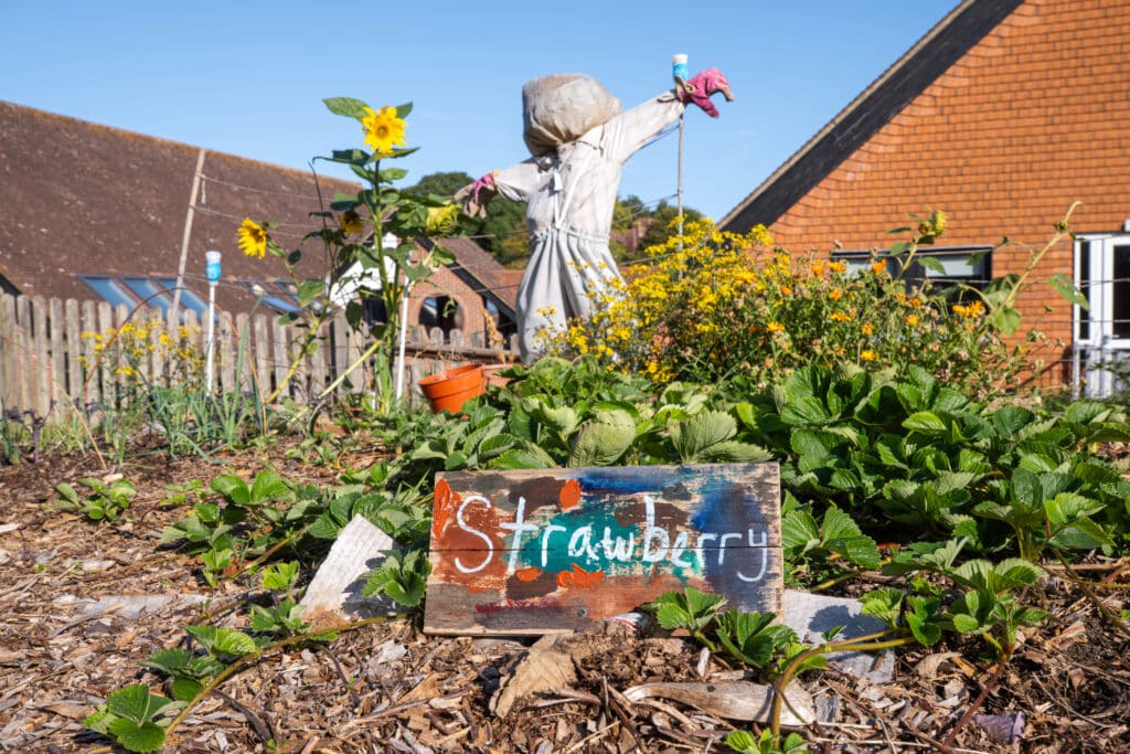 A colourful wooden sign labelled Strawberry sits in a garden bed with strawberry plants, part of a vibrant community gardening space. A scarecrow stands among sunflowers and greenery, with buildings and a picket fence in the background under a blue sky.